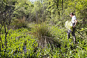 Inventory of dragonflies, Luberon Regional Nature Park, France