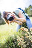 Woman photographing a butterfly, Luberon Regional Nature Park, France