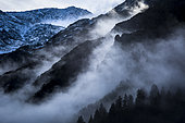 Mountain mist, Alps, Contamines-Montjoie, Haute-Savoie, France