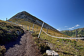 Le puy Griou, Access via Les Chazes on the GR400, Monts du Cantal, Massif Central, France
