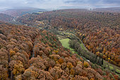 Rohrbach Valley in the Northern Vosges, autumn, Moselle, France