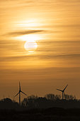 Wind turbines at sunrise in autumn, Pas de Calais, France