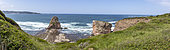 Domaine d'Abadia, Hendaye, Conservatoire du Littoral land. Basque Country, Pyrénées-Atlantiques, France