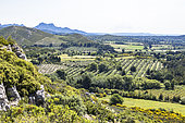 Typical Alpilles landscape, agricultural mosaic from the Caisses de Jean-Jean, Mouriès. In the background, the Opies, summit of the Alpilles, Bouches-du-Rhône, France