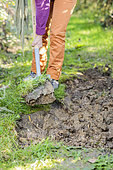 Creating a passageway in a garden. Step 1: clearing the ground.