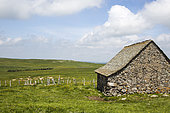 Traditional hut with slate roof in the Aubrac Regional Nature Park, Massif Central, France