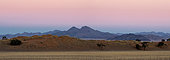 Namib Desert landscape, Namibia