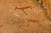 White lady rock paintings, Maack shelter, Brandberg Massif, Namibia