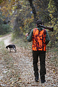 Man hunting with his dog breed german pointer, Vaucluse, France