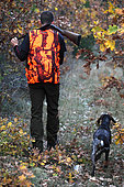 Man hunting with his dog breed german pointer, Vaucluse, France
