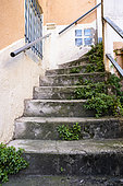 Vegetation growing between steps of stairs in Villeurbanne, France