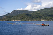Salmon fish farm with cages located at sea in the Vinjefjorden fjord in Norway