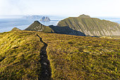 Hiking trail on the island of Værøy located south of the Lofoten archipelago, Norway