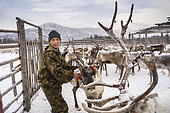 Reindeer herder marking reindeer that are vaccinated, surroundings of Uoyan, Buryatia, Russia