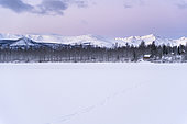 Frozen Amut lake at dawn, taiga and snow-capped mountain in the vicinity of Uoyan, Buryatia, Russia