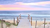 Beach of Cap de l'Homy, commune of Lit-et-Mixe, Landes France. Often considered as one of the most beautiful beaches of the Landes because the Cap de l'Homy is one of the rare seaside resorts of the Atlantic coast whose dune remained virgin of any construction.