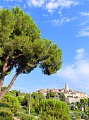 Vue sur Saint-Paul-de-Vence, commune touristique située dans le département des Alpes-Maritimes en région Provence-Alpes-Côte d'Azur, France