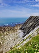 Flysch, detrital sedimentary deposit, geology, Bidart, Basque coast, Pyrénées Atlantiques, France