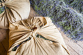 Distillation of wild lavender to obtain essential oil, Montagne de Lure, Alpes de Haute-Provence, France