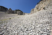Combe de Fonfiole, scree on the northern slopes of Mont Ventoux, Provence, France