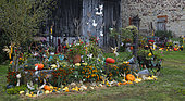 Décorations automnales de jardin devant une maison lorraine, Parc naturel régional de Lorraine, France