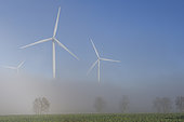 Wind turbines emerging from the fog, France