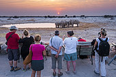 Tourists watching African Elephants (Loxodonta africana) at waterhole, Etosha National Park, Namibia