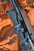 Hunting rifle with a scope during a wild boar hunt, Regulation hunting, Brognard, Doubs, France