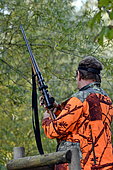 Hunting rifle with a scope during a wild boar hunt, Regulation hunting, Brognard, Doubs, France