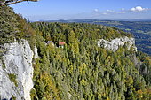 Falaises de la Cendrée en automne, Charquemont, Haut-Doubs, Doubs, France