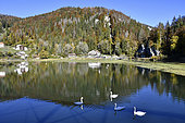 Lake Biaudond in autumn, Doubs valley, Swiss border, Doubs, France