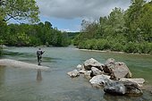 Fly fishing for trout on the Gave d'Ossau. Ossau Valley, Pyrénées-Atlantiques, France