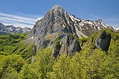 Cirque de Lescun : North-East face of the Billare, surrounded by the beech forest, Pyrénées-Atlantiques, France