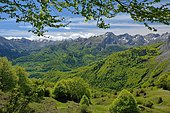 Depuis le Val d'Azun, vue sur les hêtraies-sapinières du plateau de Lescun, Pyrénées-Atlantiques, France