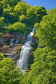 Pista waterfall, Larrau, La Soule Basque Country, Pyrénées-Atlantiques, France
