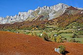 Cirque de Lescun : Fernbrakes in autumn facing the Orgues de Camplong, Pyrénées-Atlantiques, France
