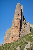 Griffon vultures (Gyps fulvus) flying over the Firé, one of the peaks of the Mallos de Riglos, Aragonese Pyrenees, Huesca, Spain