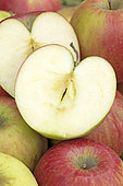 Sliced apple 'Cripps Red' (Malus domestica)