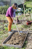 Woman preparing a vegetable patch in late winter, step by step.