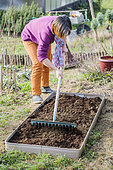 Woman preparing a vegetable patch in late winter, step by step. Leveling with a rake.