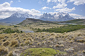 Torres del Paine Massif seen from the Sierra del Toro, Torres del Paine National Park, XII Magallanes Region and Chilean Antarctica, Chile