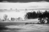 Country landscape under the morning fog in winter, Slovakia