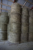 Hay bales stored in a shed, Queyras Regional Nature Park, Alps, France