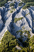 Typical bad lands of the Alpes de Haute Provence, Commune of Enchastrayes, Ubaye, Alpes de Haute Provence, France