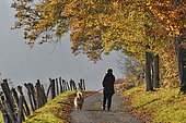 Woman walking a Eurasier dog on a country road in autumn, Glay, Doubs, France