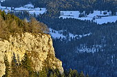 Cliffs of the Cendrée in winter, Charquemont, Haut-Doubs, Doubs, France