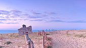 Dunes du littoral atlantique dans les Landes. Des clôtures limitent le cheminement des touristes afin de protéger la végétalisation du cordon dunaire évitant ainsi son érosion, Lit Et Mixe, Landes, Côte d'Argent, France