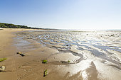 Beach of Saint-Vincent-sur-Jard, Vendée, Pays de Loire, France