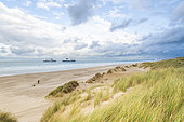 The dunes of Sangatte and ferries to England, Pas-de-Calais, Opal Coast, France