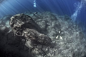 Rocky substrate, in the first few meters below the surface of the ocean. Volcanic underwater bottoms. La Gomera, Canary Islands.